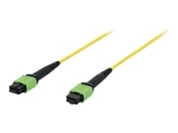 LWL Patchk., MPO/MPO, Female OS2, SM 09/125 µ, 5m